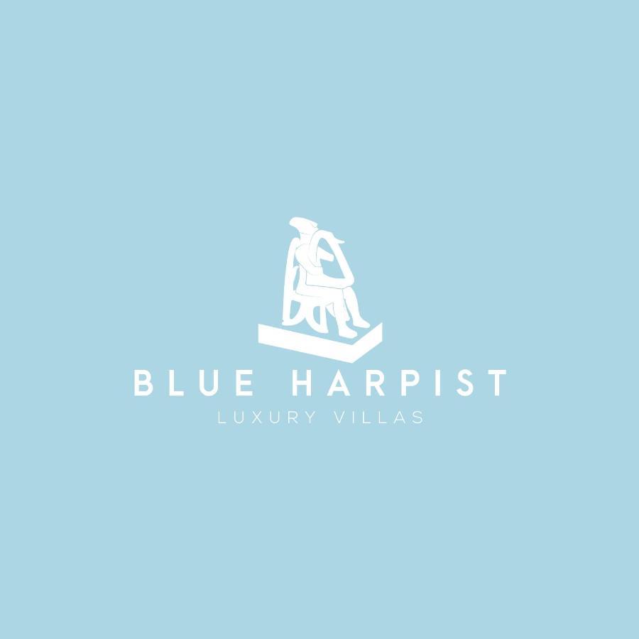 Blue Harpist Villas Куфонісі Екстер'єр фото
